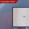Москитная сетка универсальная DaXi (розовая)